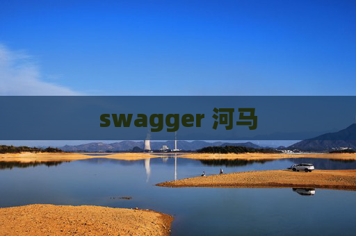 swagger 河马